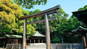 Bungee Jumping In cliff Gallery