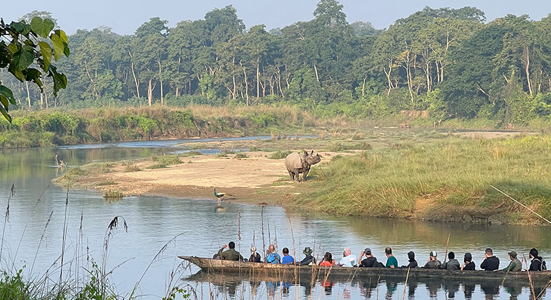Chitwan Jungle Safari Gallery